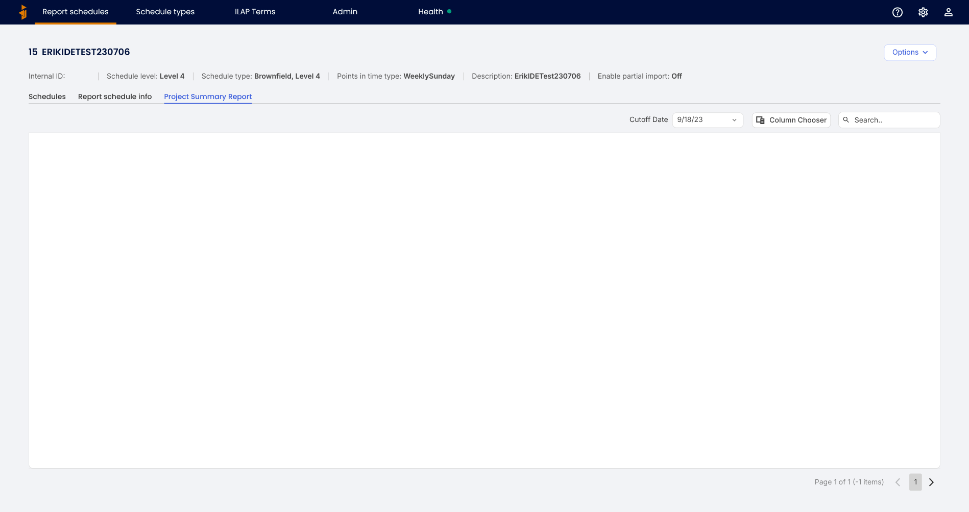 The Project Summary Report tab